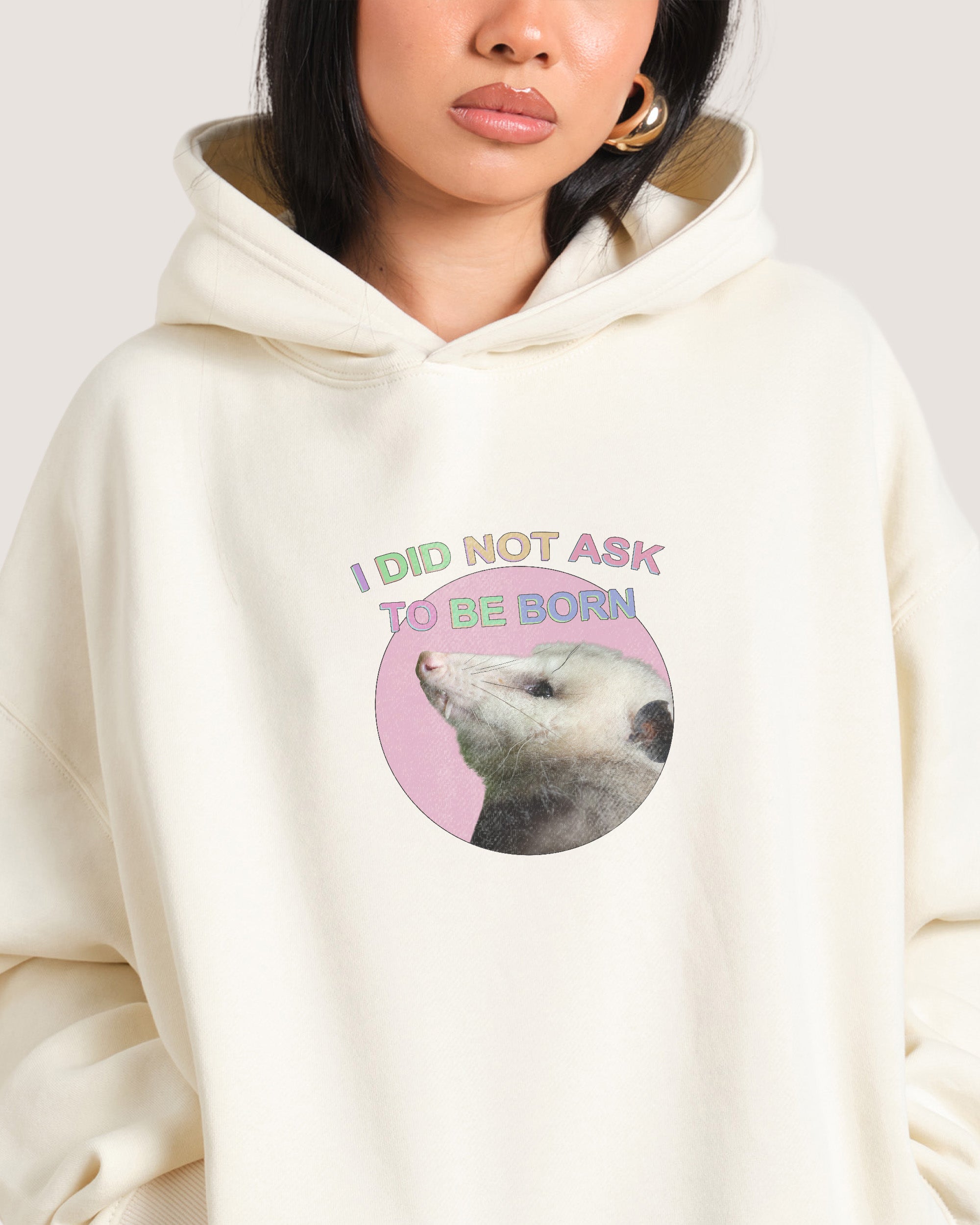 I Did Not Ask Hoodie