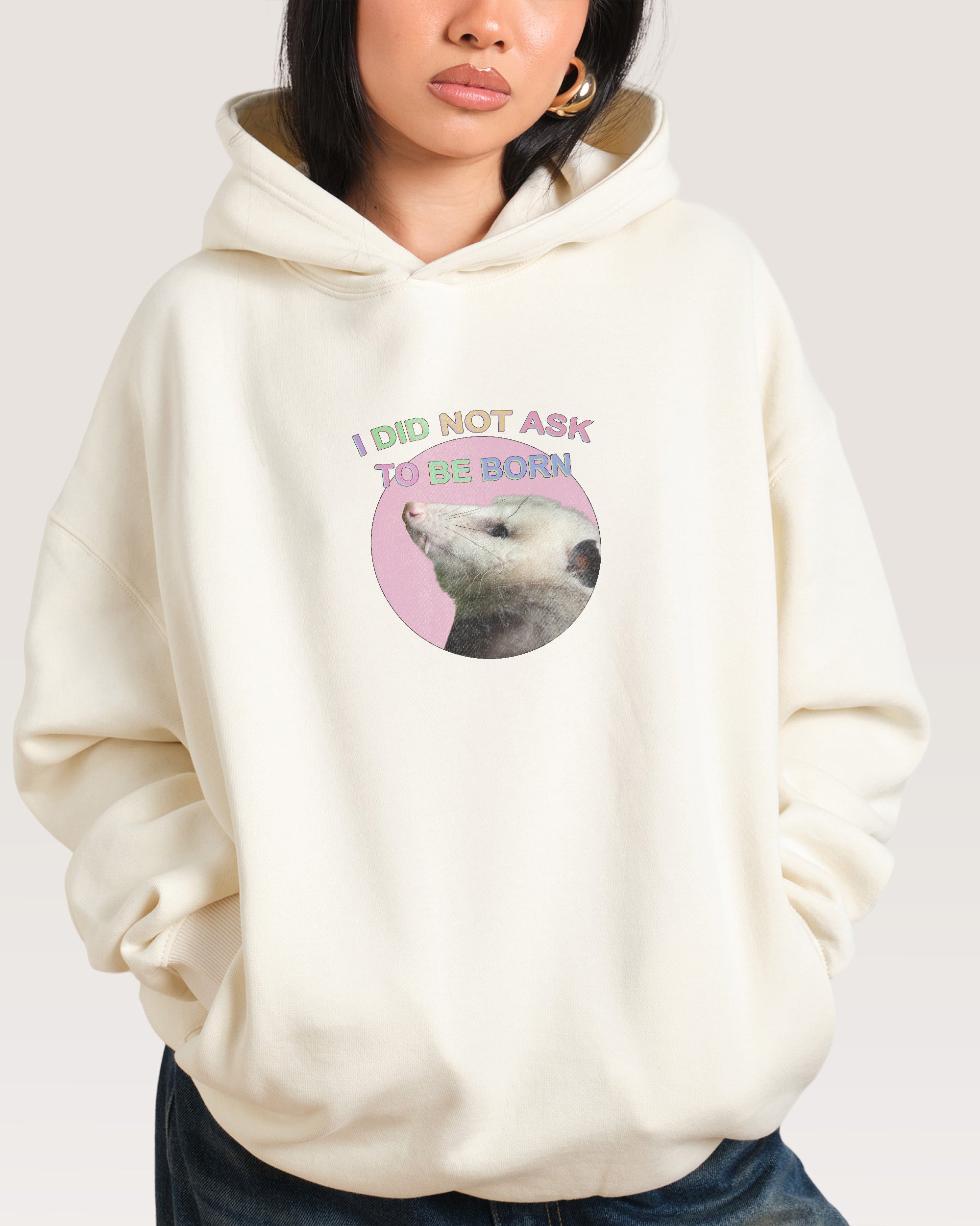 I Did Not Ask Hoodie