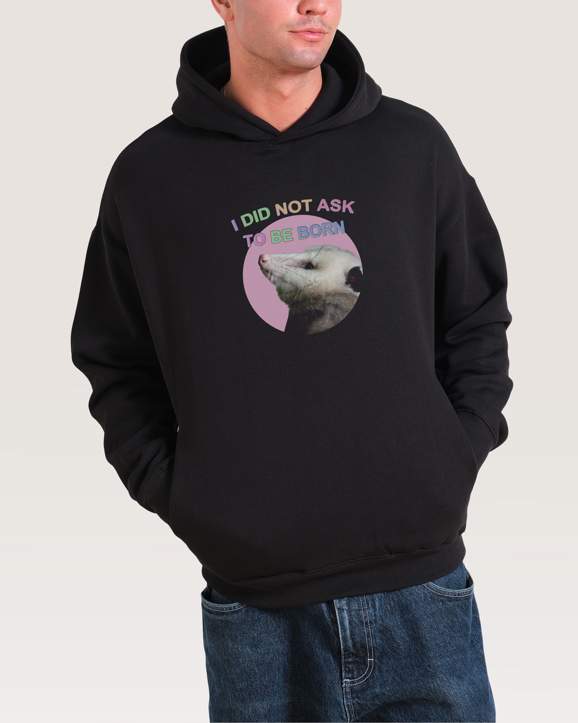 I Did Not Ask Hoodie